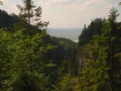 2013-07-20_Regina-F-Rau_Kochel-Rabenkopf (306)b.JPG